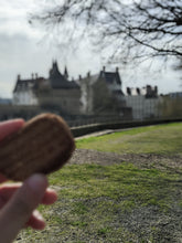 Charger l&#39;image dans la galerie, Biscuit du bonheur devant le Château des Ducs de Bretagne
