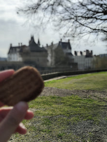 Visite Guidée Gourmande et Thématique - Sur le bout de la langue - Anne de Bretagne - Billet non daté - La Rayonnantes